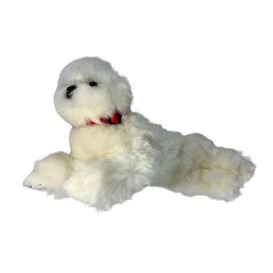 Bocchetta Annabelle - Bichon Frise - 38cm, lying
