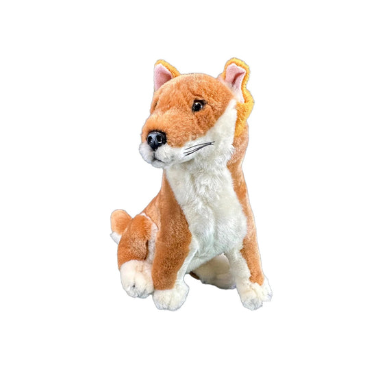 Bocchetta Arnie (Dingo - 18Cm Sitting)