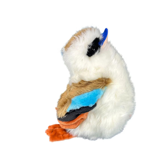 Bocchetta Hillary (Kookaburra - 23Cm)