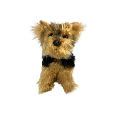 Bocchetta Archie - Australian Yorkshire Terrier, - 28Cm Sitting