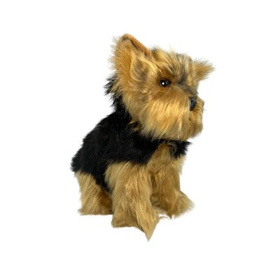 Bocchetta Archie - Australian Yorkshire Terrier, - 28Cm Sitting