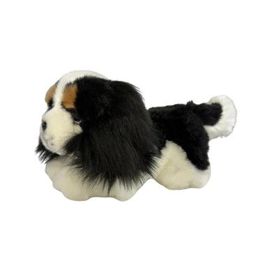 Bocchetta Alex - Cavalier King Charles Spaniel - 28cm, floppy