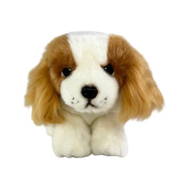 Bocchetta Phoebe - Cavalier King Charles Spaniel - 28cm, floppy, brown