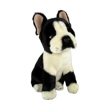 Bocchetta Pierre - French Bulldog - 30cm, sitting, black & white