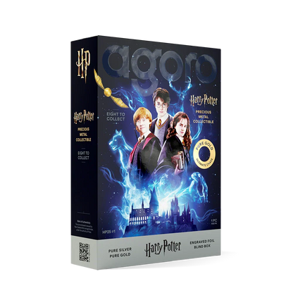 HARRY POTTER™ - 25 Years of Magic Blind Box