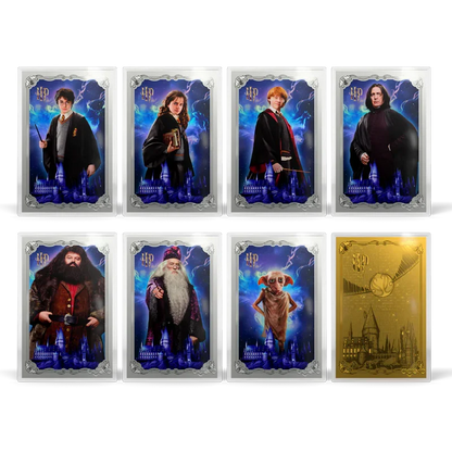 HARRY POTTER™ - 25 Years of Magic Blind Box