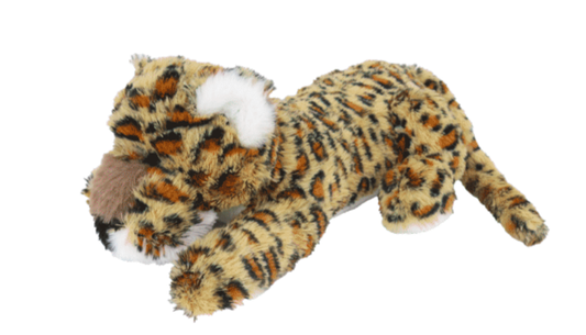 Ollie and Page Oscar the Leopard